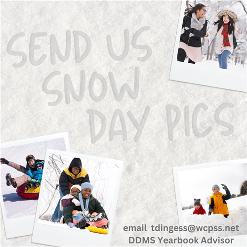 Snow Day